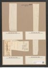 Donkinia recta (Donk.) Grun. (de-Toni-Nr.: Genus 17, Species 1150) Zeichnungen Sammlung Grunow Nr. 2246 (NHMW-BOT-W0369345)